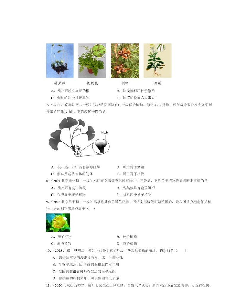 2020～2024北京初二一模生物试题分类汇编：种子植物02