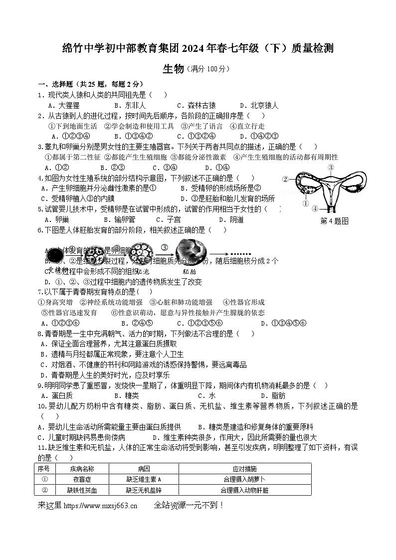 四川省德阳市绵竹中学教育集团2023-2024学年七年级下学期第一次月考生物试题01