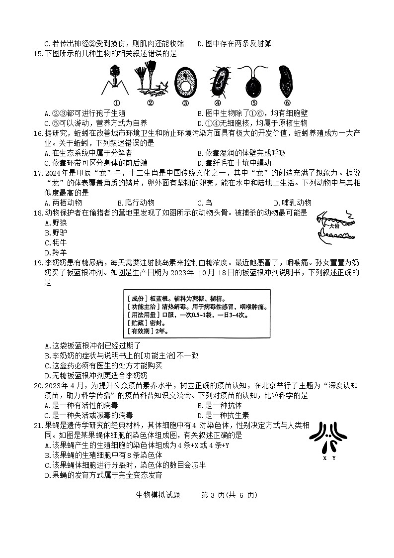 2024年山东省聊城市阳谷县实验中学中考生物模拟题第3页