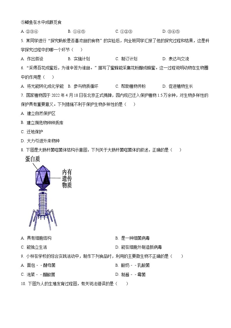 广东省韶关市新丰县2023-2024学年八年级下学期期中生物试题（原卷版）第2页
