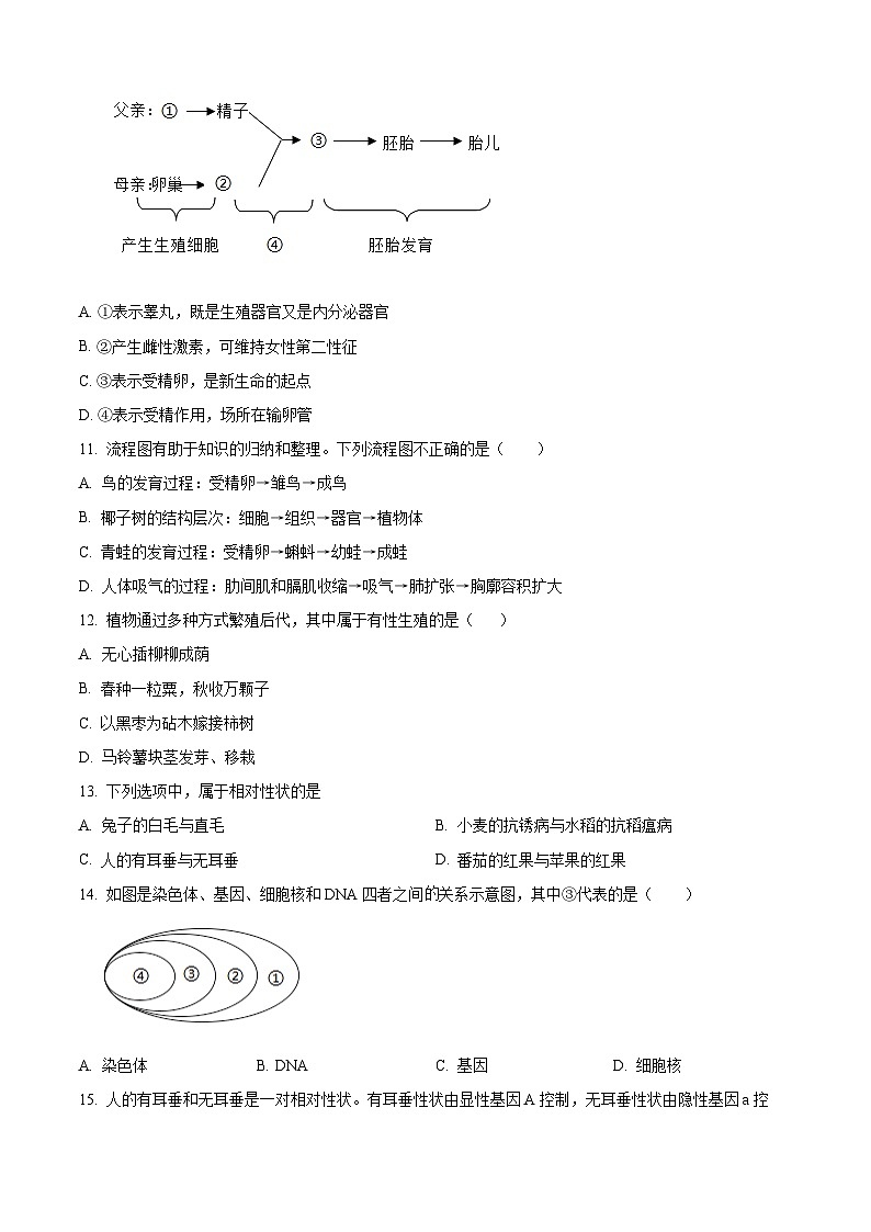 广东省韶关市新丰县2023-2024学年八年级下学期期中生物试题（原卷版）第3页