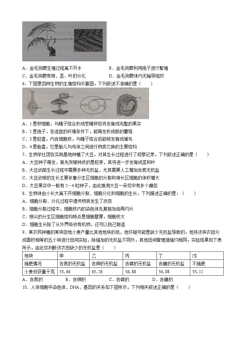 2024年山东省青岛市市北区中考二模考试生物试题02