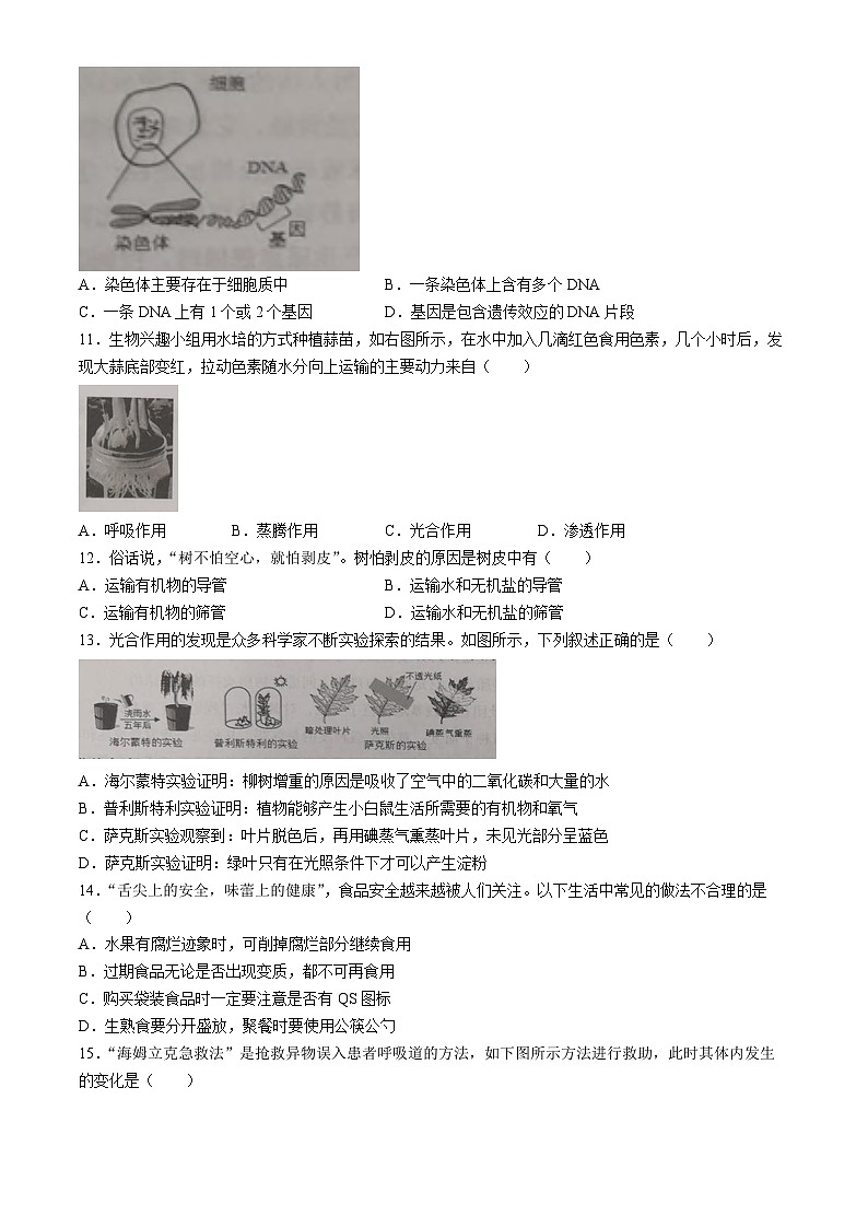 2024年山东省青岛市市北区中考二模考试生物试题03