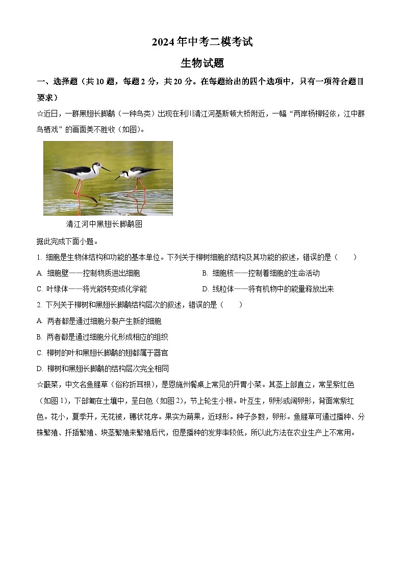 2024年湖北省恩施市土家族自治县中考二模生物试题（原卷版+解析版）01