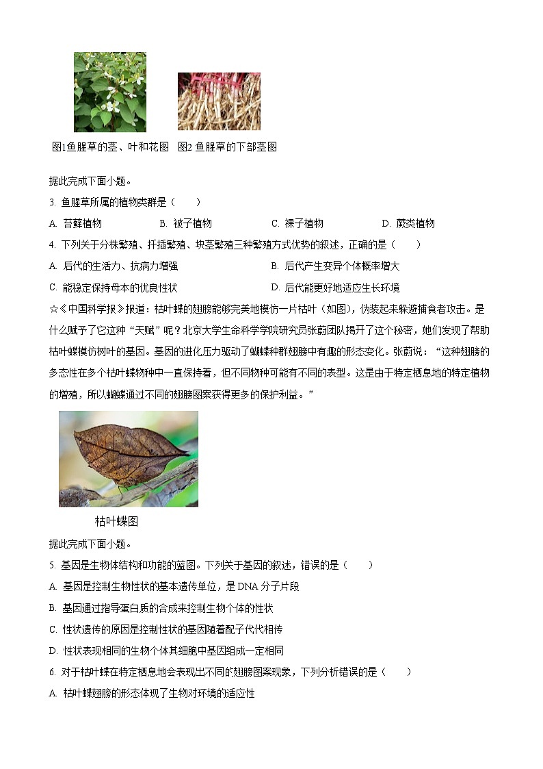 2024年湖北省恩施市土家族自治县中考二模生物试题（原卷版+解析版）02