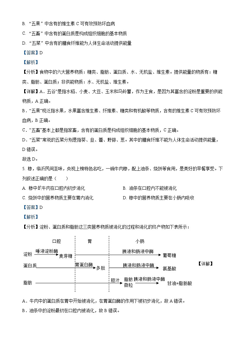 山东省临沂市沂水县2023-2024学年七年级下学期期中生物试题（解析版）第3页