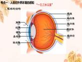 人教版（新课标）七下生物第四单元第六章复习课件
