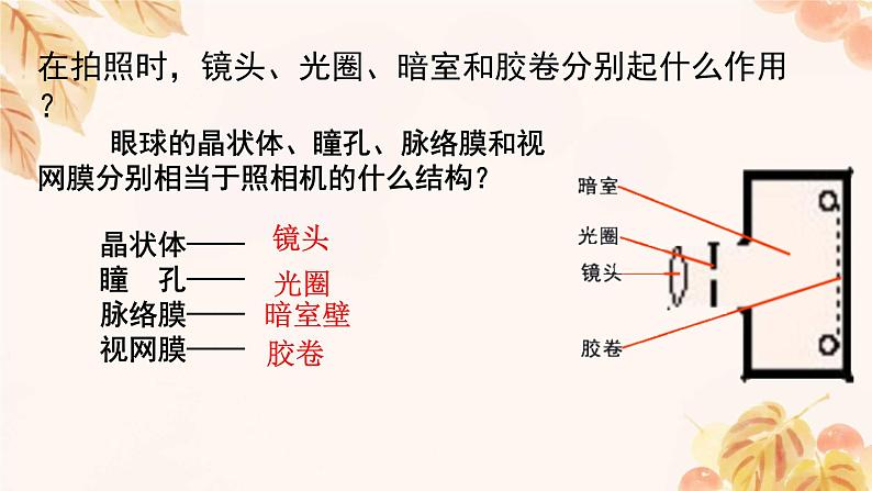 人教版（新课标）七下生物第四单元第六章复习课件第3页