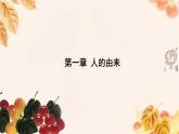 人教版（新课标）七下生物第四单元第一至三章复习课件