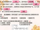 人教版（新课标）七下生物第四单元第一至三章复习课件