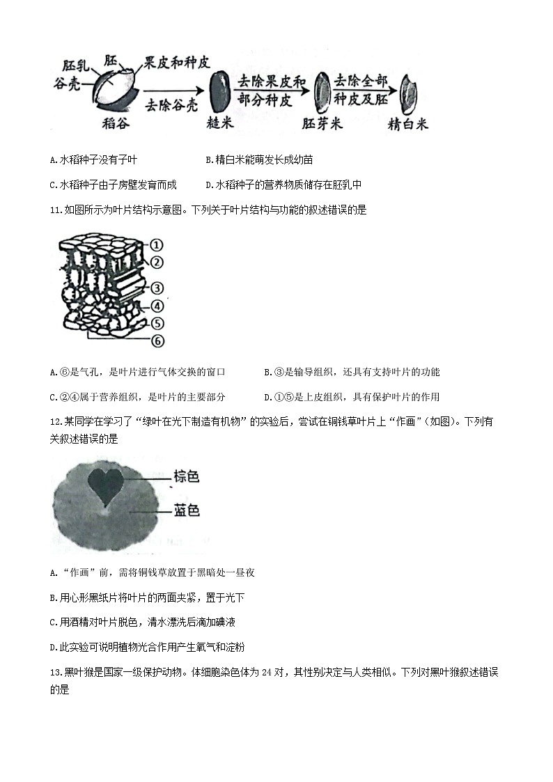 2024年河北省唐山市路北区中考模拟预测生物试题03