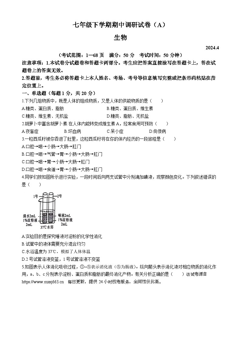 河南省安阳市2023-2024学年七年级下学期4月期中生物试题01