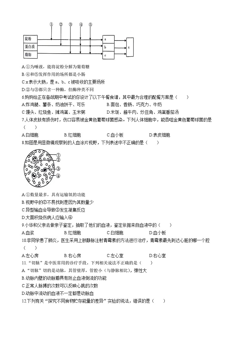 河南省安阳市2023-2024学年七年级下学期4月期中生物试题02