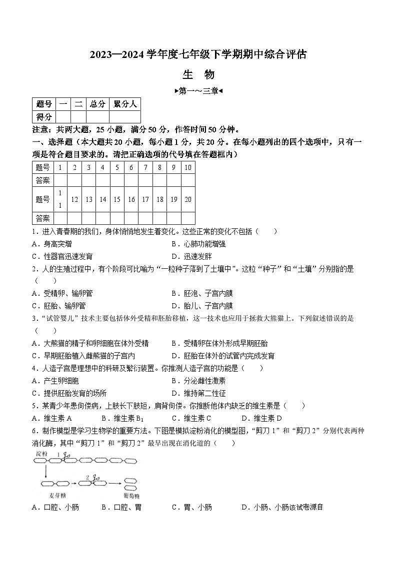 河南省郑州市新郑市2023-2024学年七年级下学期4月期中生物试题(无答案)01