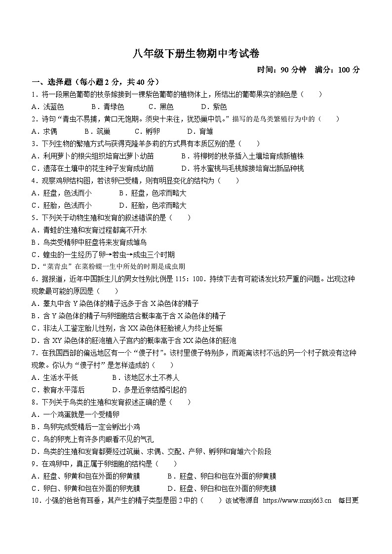 湖南省郴州市嘉禾县坦坪镇田心中学2023-2024学年八年级下学期4月期中生物试题(无答案)第1页