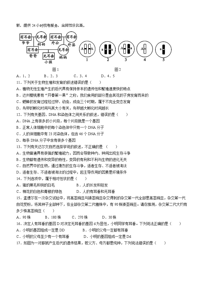 湖南省郴州市嘉禾县坦坪镇田心中学2023-2024学年八年级下学期4月期中生物试题(无答案)第2页