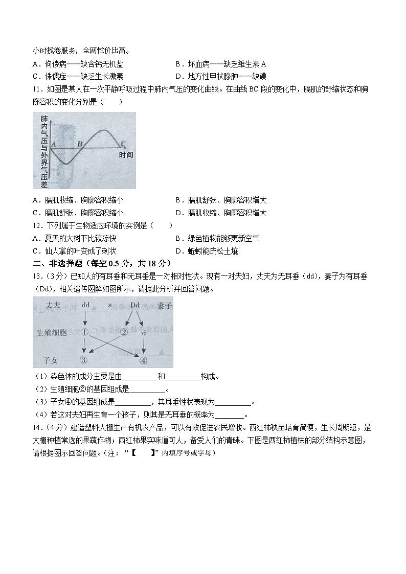 辽宁省本溪市2023-2024学年八年级下学期4月期中生物试题02