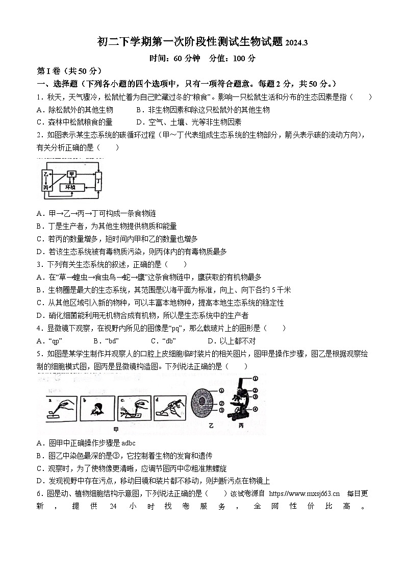 山东省聊城市文轩初级中学2023-2024学年八年级下学期第一次月考生物试题第1页
