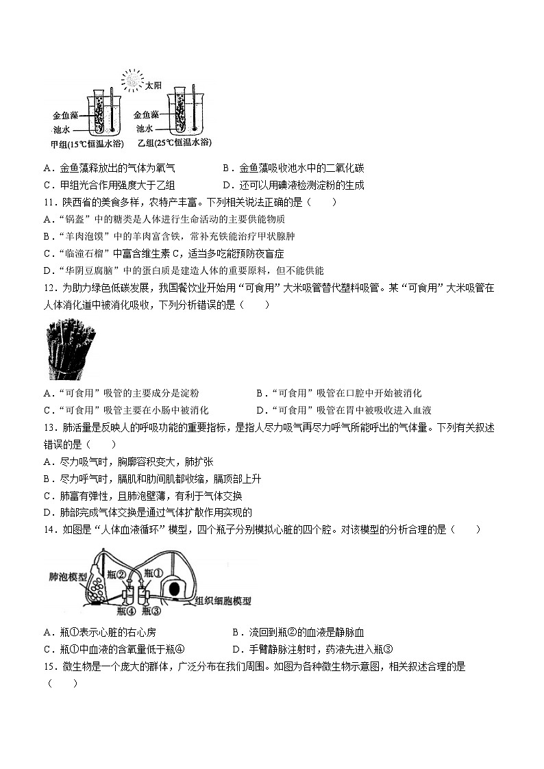 山东省烟台市莱州市2023-2024学年八年级下学期4月期中生物试题(无答案)03