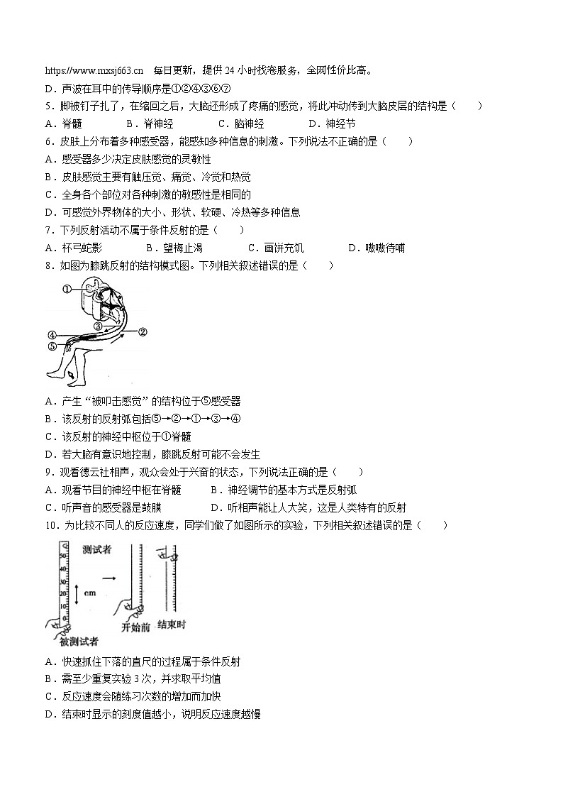 山东省烟台市莱州市2023-2024学年七年级下学期4月期中生物试题(无答案)02