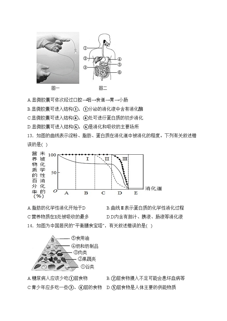 湖南省永州市新田县2023-2024学年七年级下学期期中生物试卷(含答案)第3页