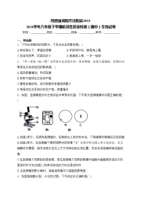 陕西省咸阳市泾阳县2023-2024学年八年级下学期阶段性质量检测（期中）生物试卷(含答案)