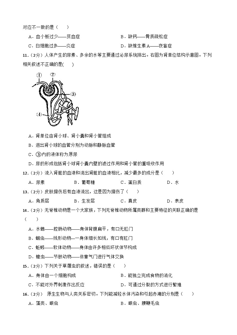 2024年甘肃省金昌市金川区三校联片教研九年级三模生物试题第2页