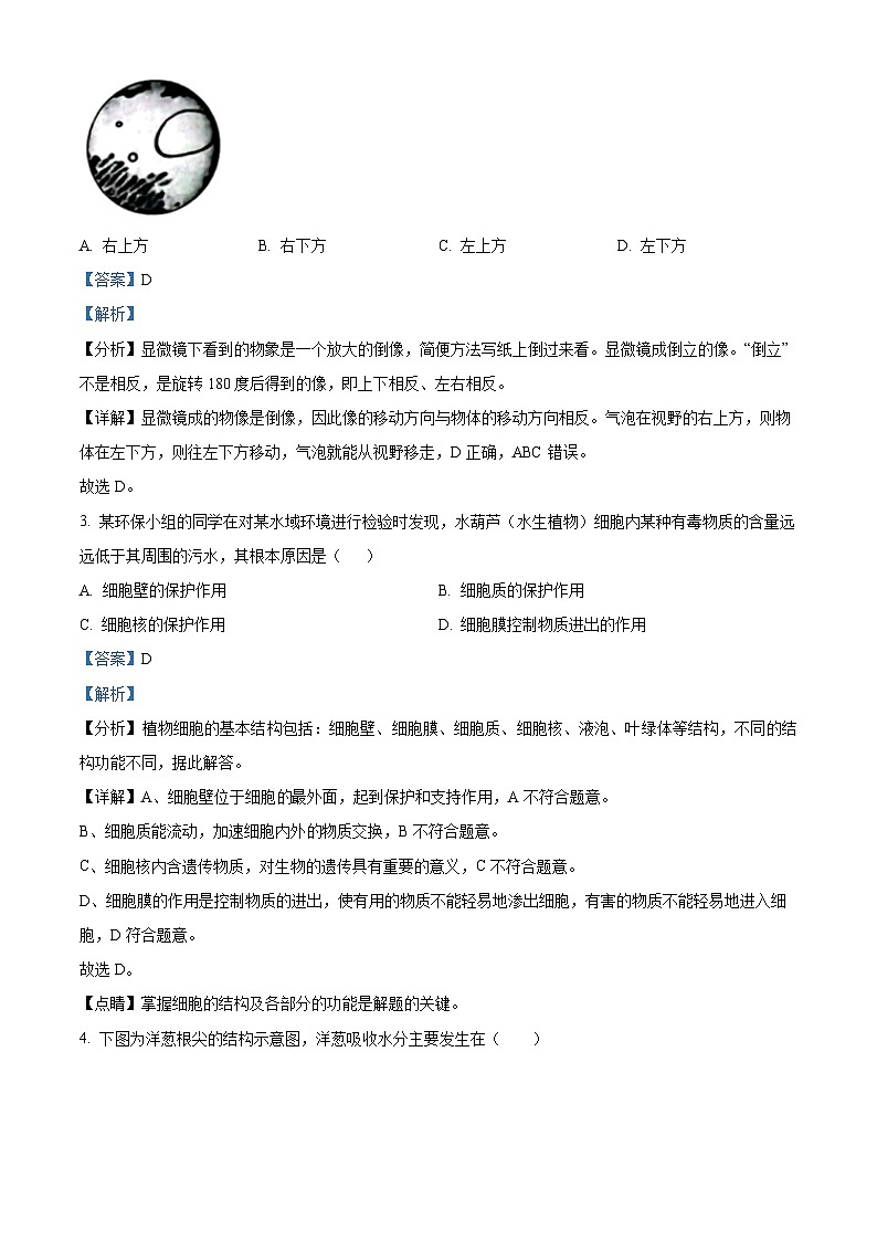 河南省洛阳市汝阳县2023-2024学年八年级中考一模生物试题（原卷版+解析版）02