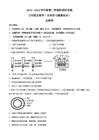 内蒙古鄂尔多斯市伊金霍洛旗2023-2024学年七年级下学期期中生物试题（原卷版+解析版）