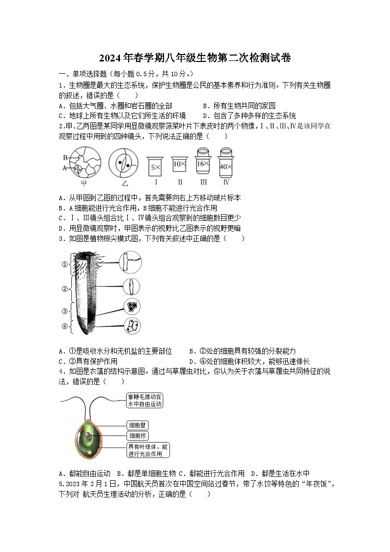 江苏省盐城市大丰区2023-2024学年八年级下学期5月月考生物试题01
