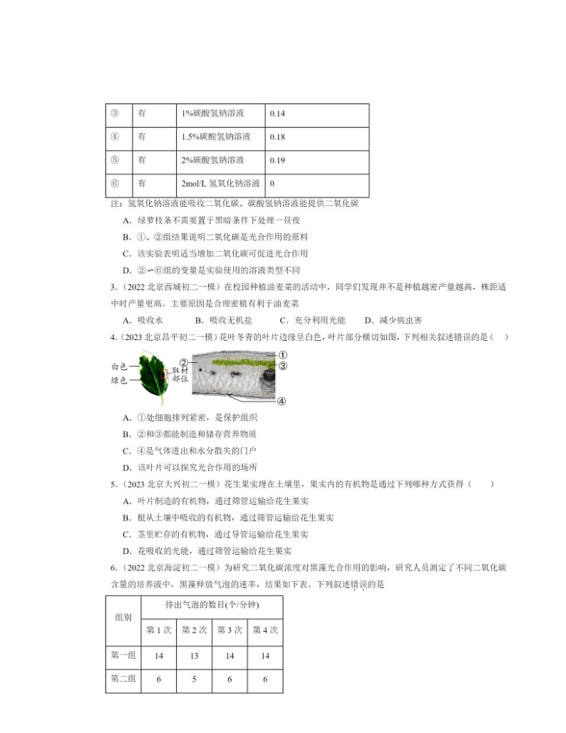 2022～2024北京初二中考一模生物试题分类汇编：光合作用吸收二氧化碳释放氧气02