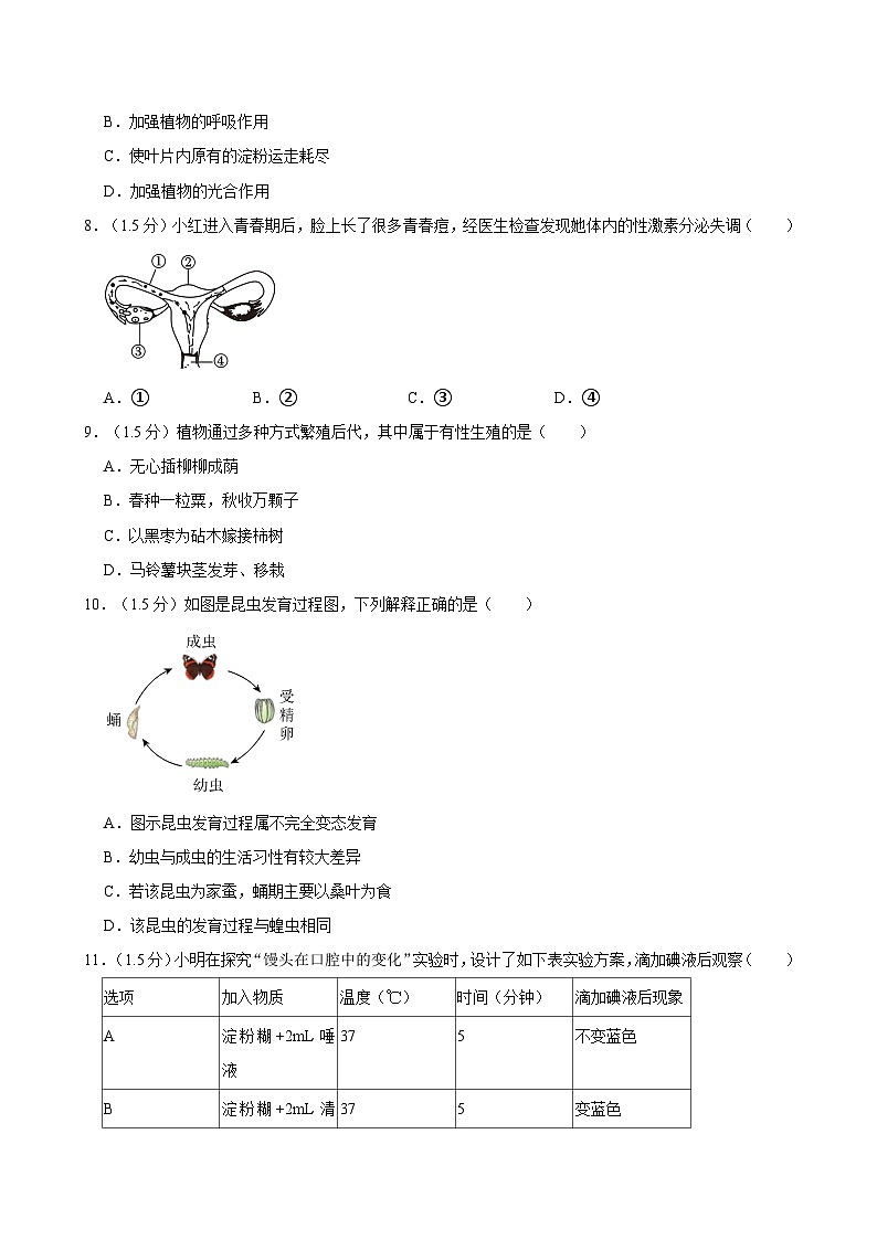 2024年甘肃省陇南市康县阳坝中学中考生物模拟试卷02