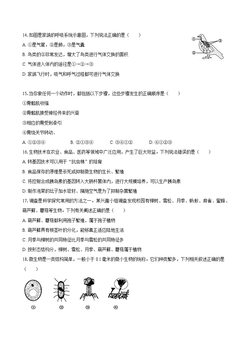 2024年河南省中考生物模拟试卷03