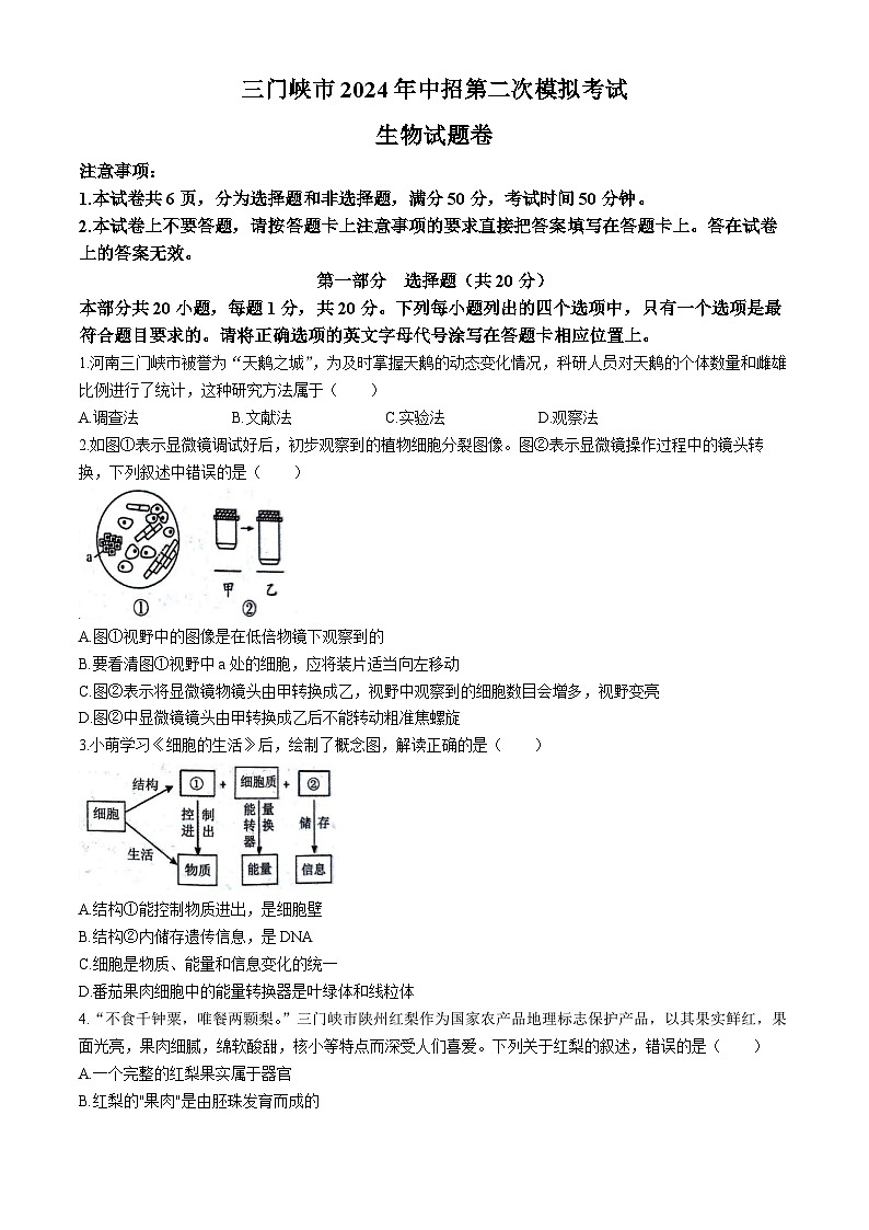 2024年河南省三门峡市中考二模生物试题(无答案)第1页