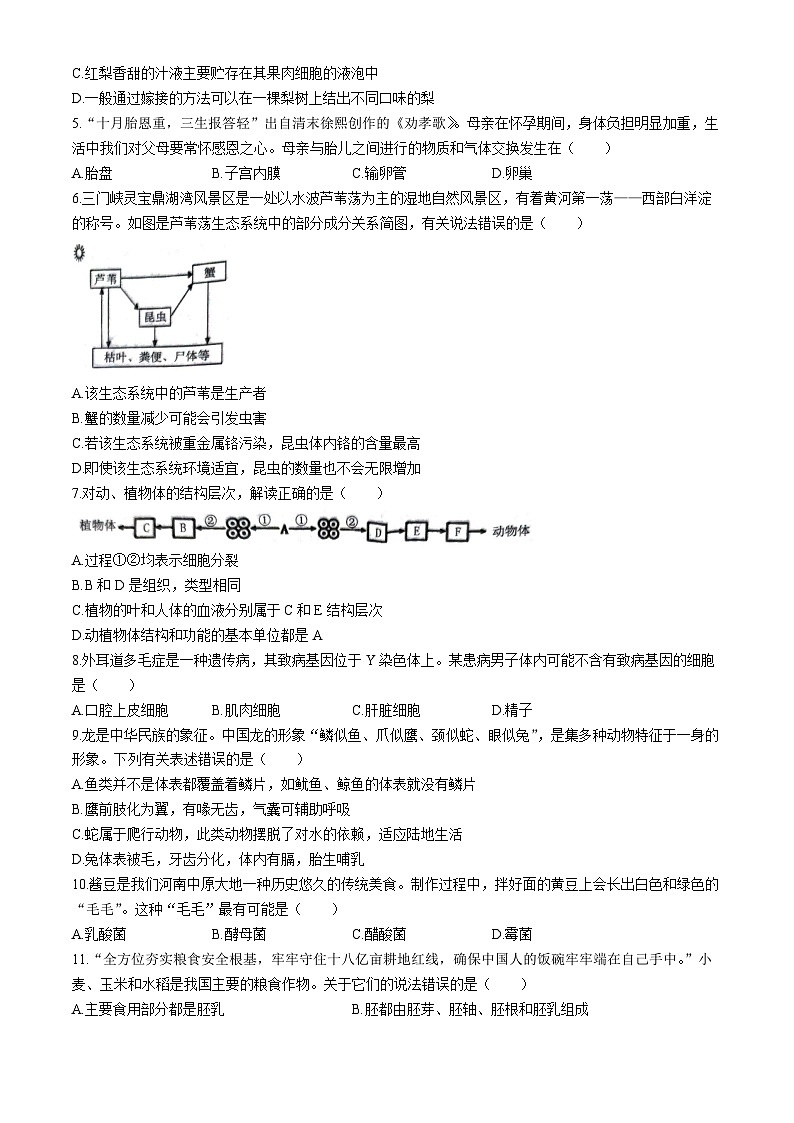 2024年河南省三门峡市中考二模生物试题(无答案)第2页
