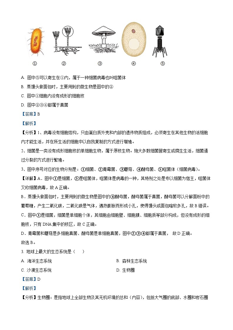 2024年河北省保定市清苑区中考二模生物试题（原卷版+解析版）02
