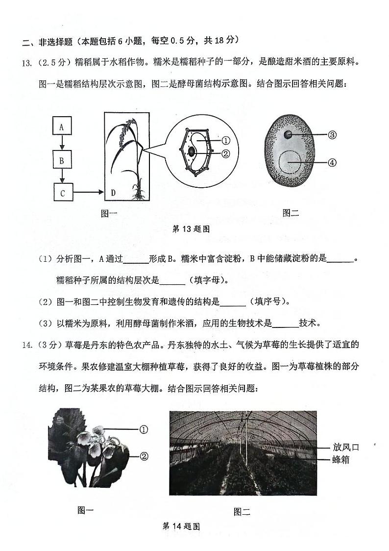 2024年辽宁省丹东市中考一模生物试题03