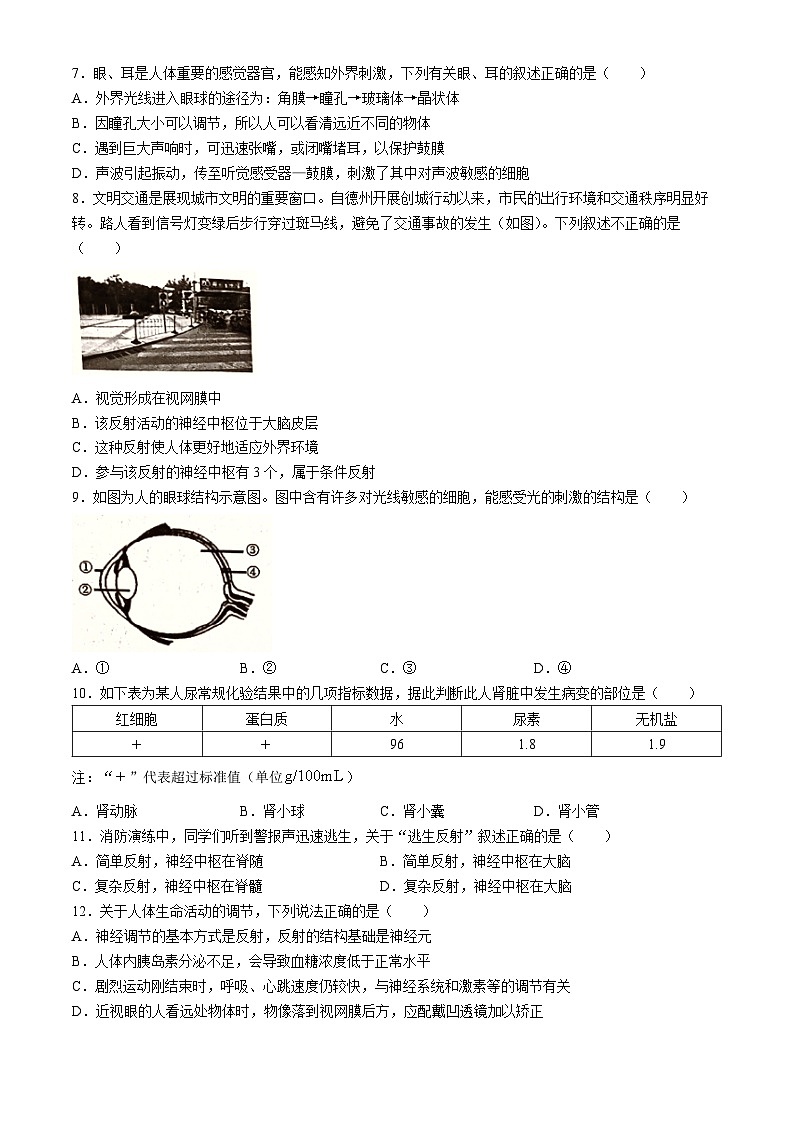 河南省商丘市虞城县2023-2024学年七年级下学期5月月考生物试题02