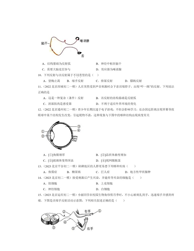 2022～2024北京初二中考一模生物试题分类汇编：人体生命活动的调节章节综合02
