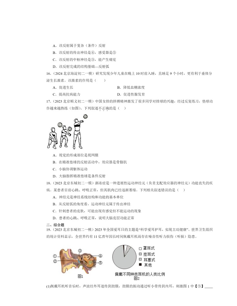 2022～2024北京初二中考一模生物试题分类汇编：人体生命活动的调节章节综合03