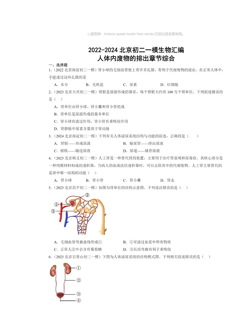 2022～2024北京初二一模生物试题分类汇编：人体内废物的排出章节综合01