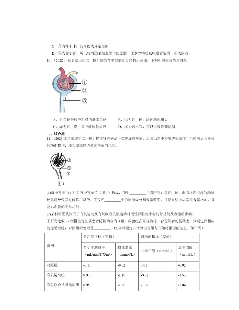 2022～2024北京初二一模生物试题分类汇编：人体内废物的排出章节综合03