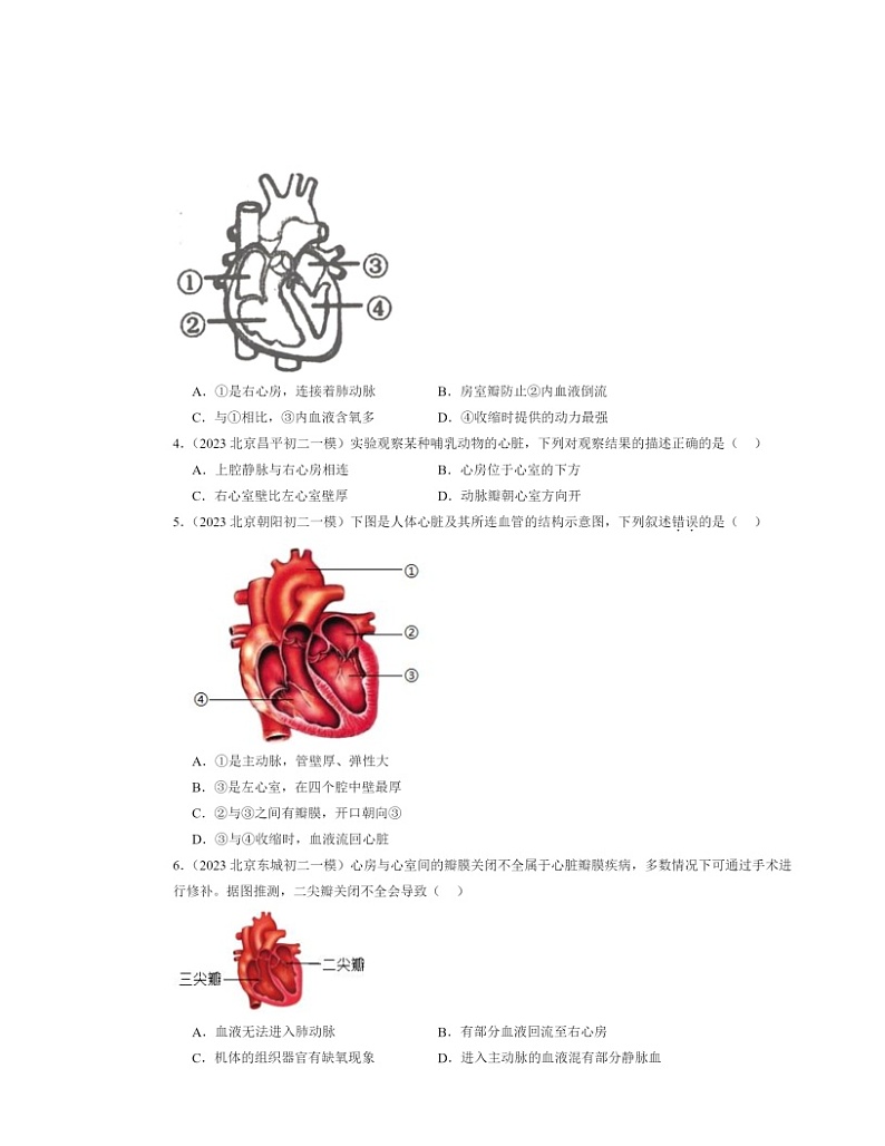 2022～2024北京初二一模生物试题分类汇编：输送血液的泵──心脏02