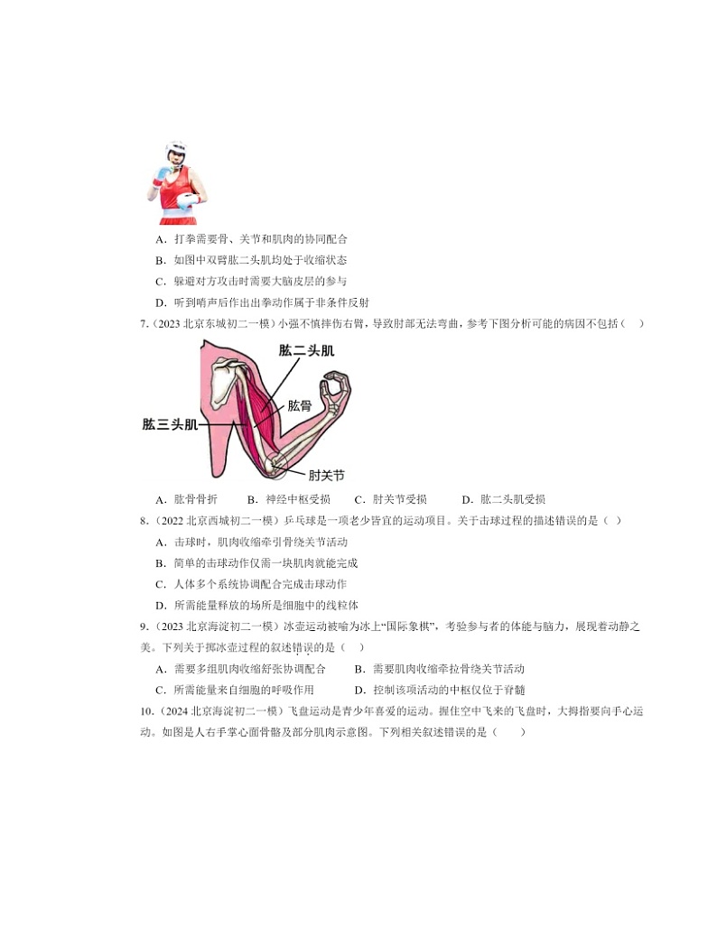 2022～2024北京初二一模生物试题分类汇编：动物的运动02