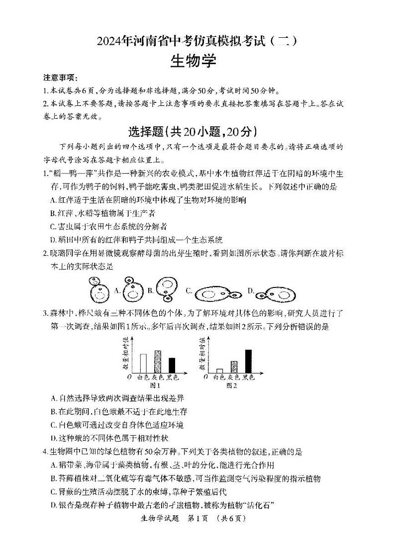2024年河南省项城市中考第二次模拟考试生物试卷01
