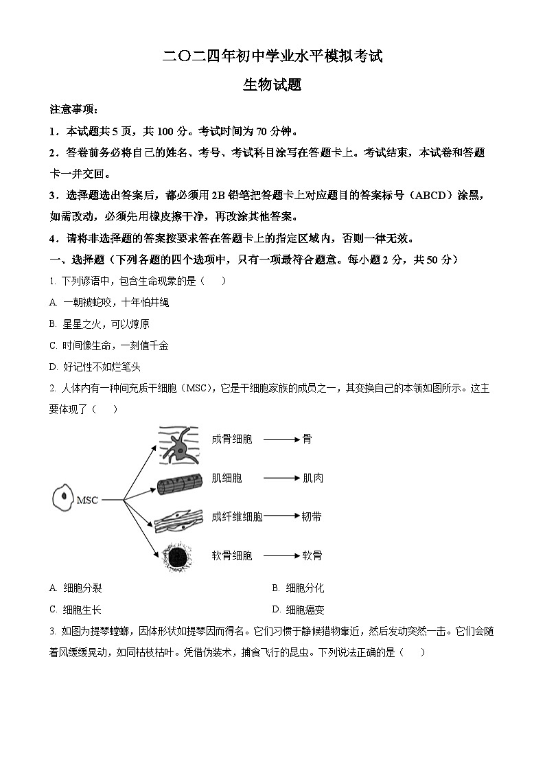 2024年山东省德州市宁津县八年级中考二模生物试题（原卷版）第1页