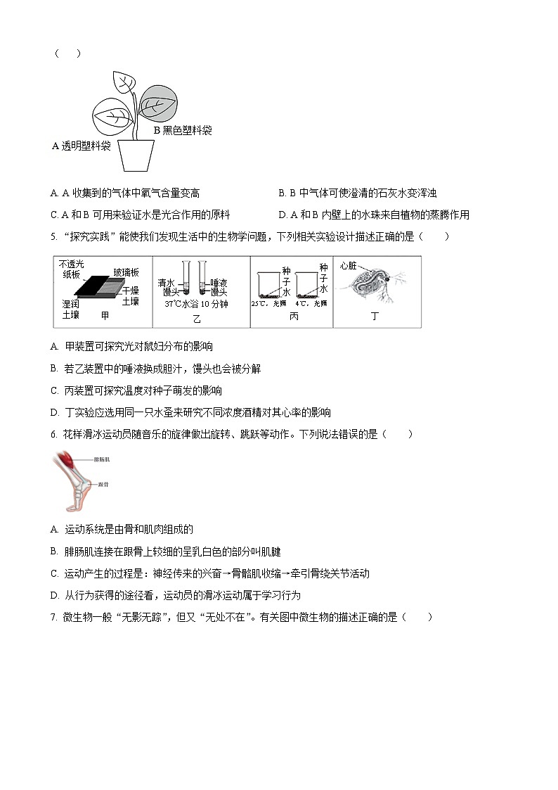 2024年山东省济南市槐荫区生物中考二模试题（原卷版+解析版）02