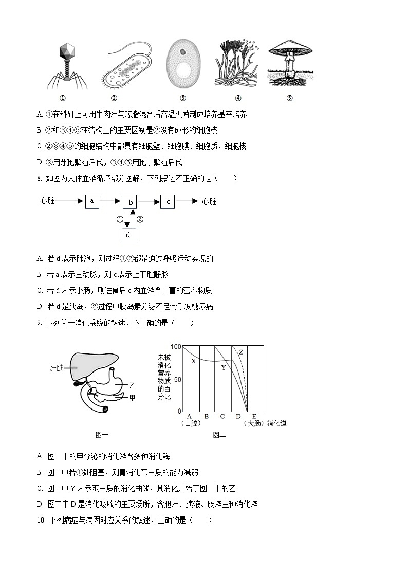 2024年山东省济南市槐荫区生物中考二模试题（原卷版+解析版）03