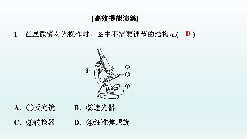 中考生物总复习课件：专题一　生物体的结构层次03