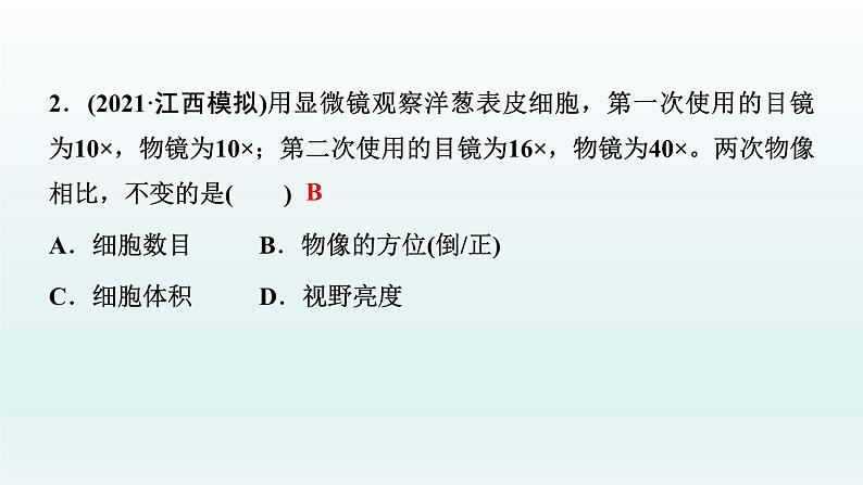 中考生物总复习课件：专题一　生物体的结构层次05